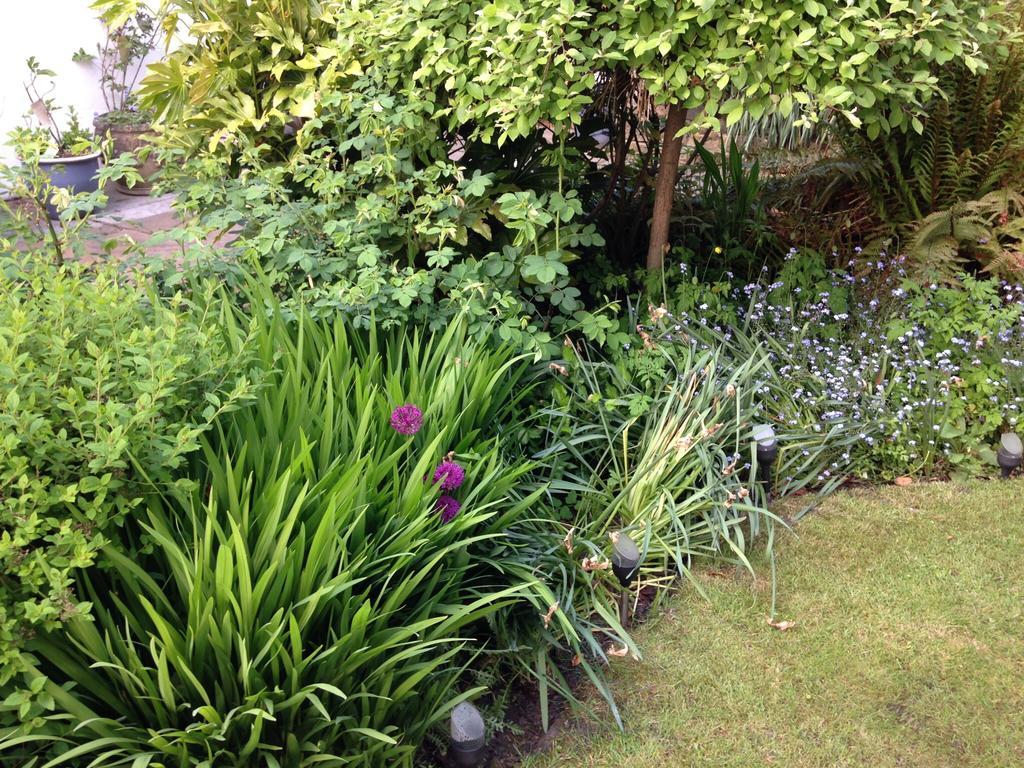 Willow Cottage B&B Yeadon Екстер'єр фото