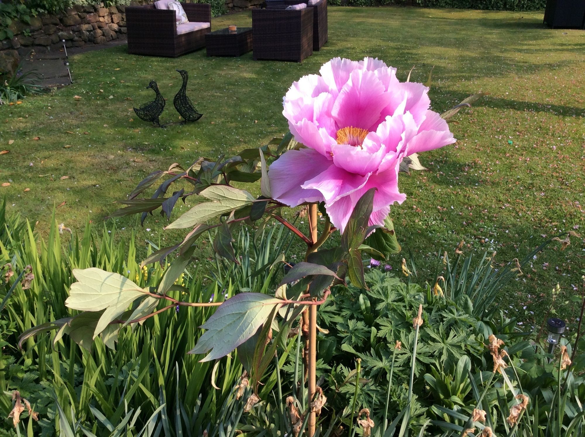 Willow Cottage B&B Yeadon Екстер'єр фото